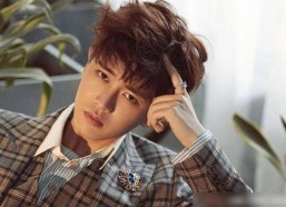 娱乐吃瓜蜀黍任嘉伦,娱乐吃瓜蜀黍的星光璀璨之路